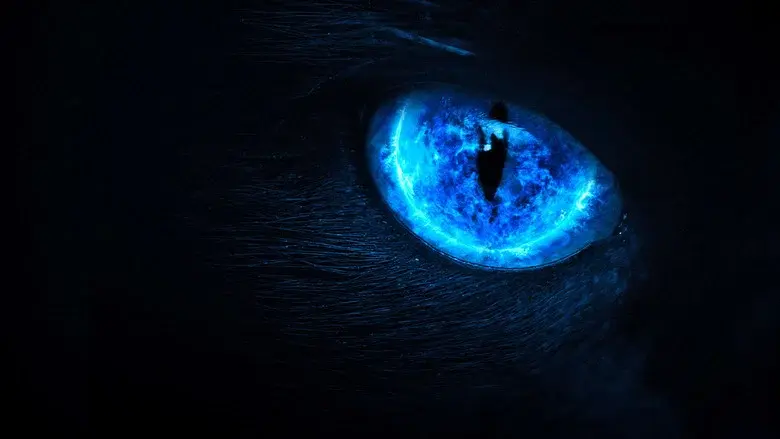 Eli Roth Presents: My Possessed Pet still 2