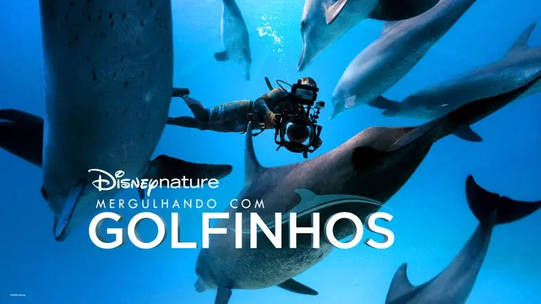 Diving with Dolphins still 5