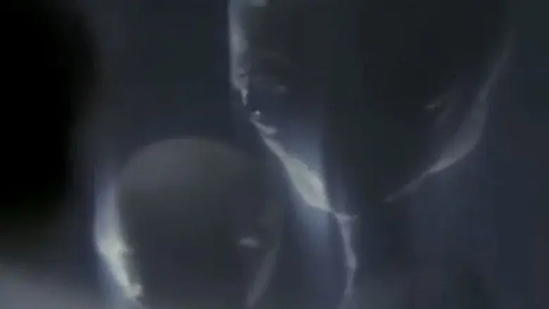 Intruders still 2