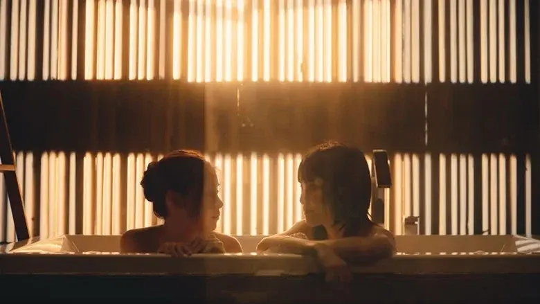 Shades still 7