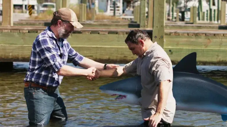 Mississippi River Sharks still 2