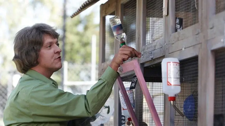 Angry Boys still 6
