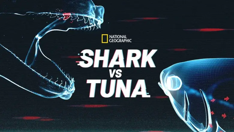 Shark vs. Tuna still 4