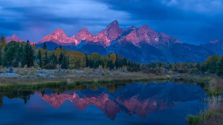 Wild Yellowstone still 2
