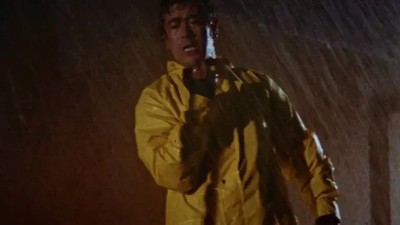 The Street Fighter's Last Revenge still 7