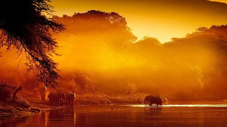 Zambezi: Force of Life still 1