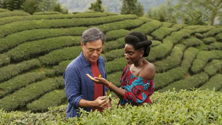 Black Tea still 2