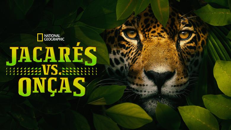 Jaguar vs. Croc still 7