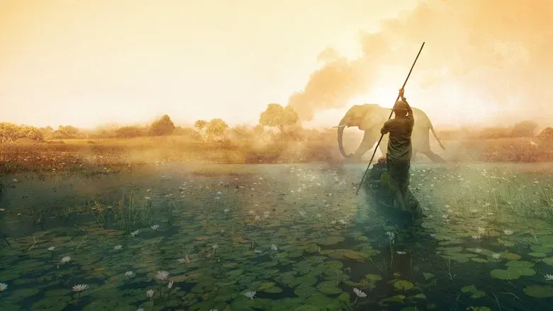 Into the Okavango still 1