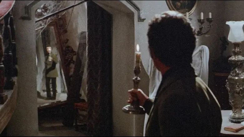 Web of the Spider still 2