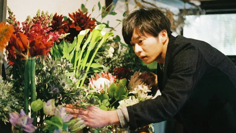 Mellow still 3