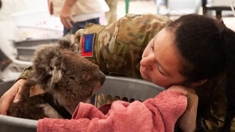 Bushfire Animal Rescue still 1