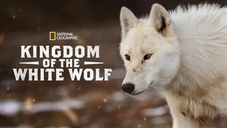 Kingdom of the White Wolf still 5