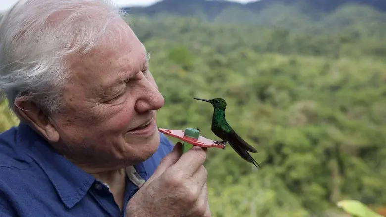 Attenborough's Life in Colour still 3