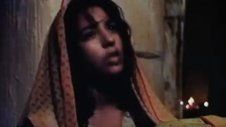 The Desert Ark still 2