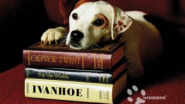 Wishbone still 2