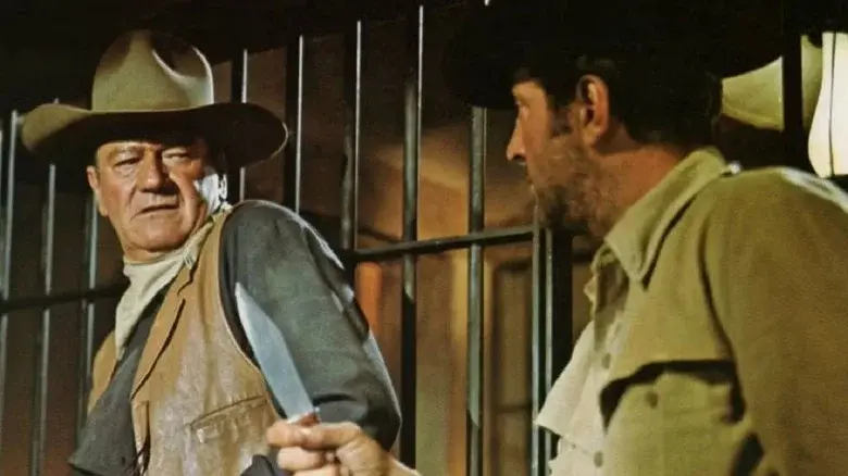 The Sons of Katie Elder still 8