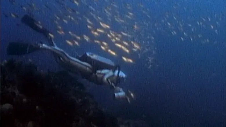 Jacques Cousteau: Rediscover the World | New Zealand, Tahiti, Cuba, & Cape Horn still 3