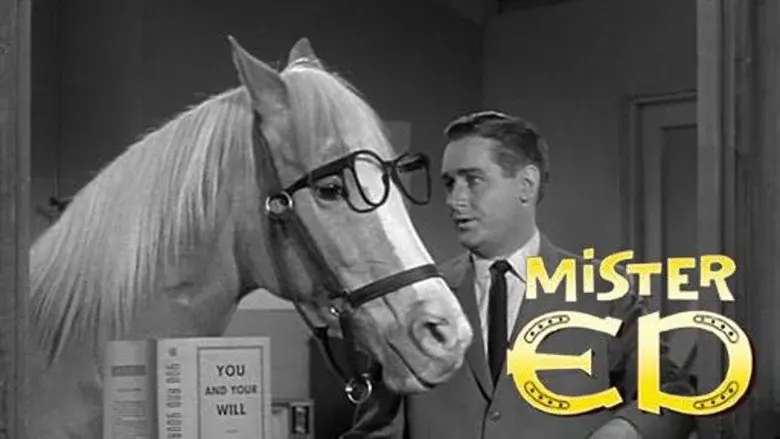 Mister Ed still 2