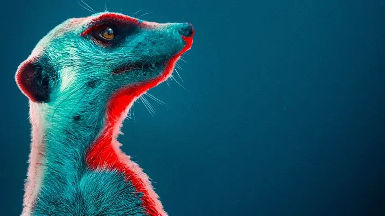 Meerkat Manor: Rise of the Dynasty still 2