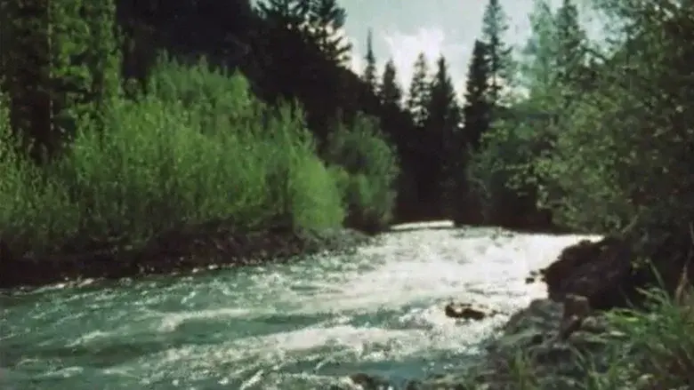 Journey to the Outer Limits still 1
