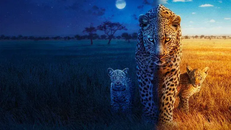 Big Cats 24/7 still 1