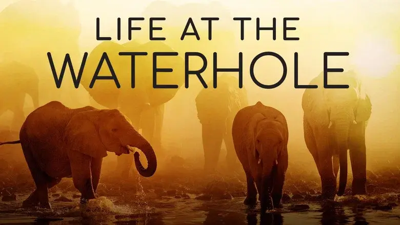 Life at the Waterhole still 2