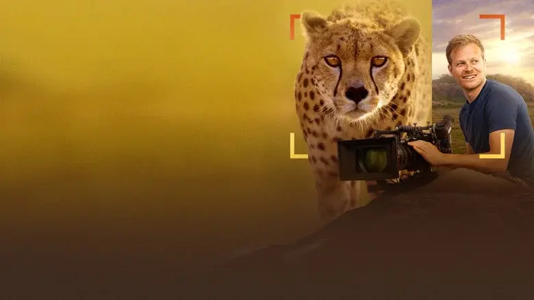 Cheetahs Up Close with Bertie Gregory still 8