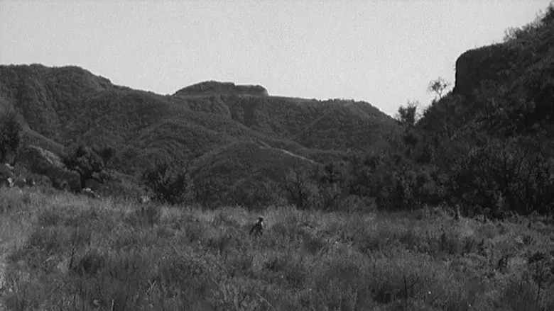 War Hunt still 4