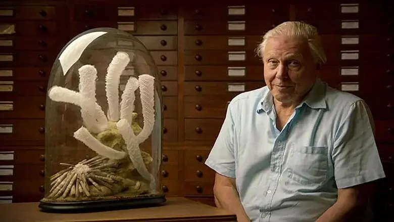Attenborough's Ark still 3
