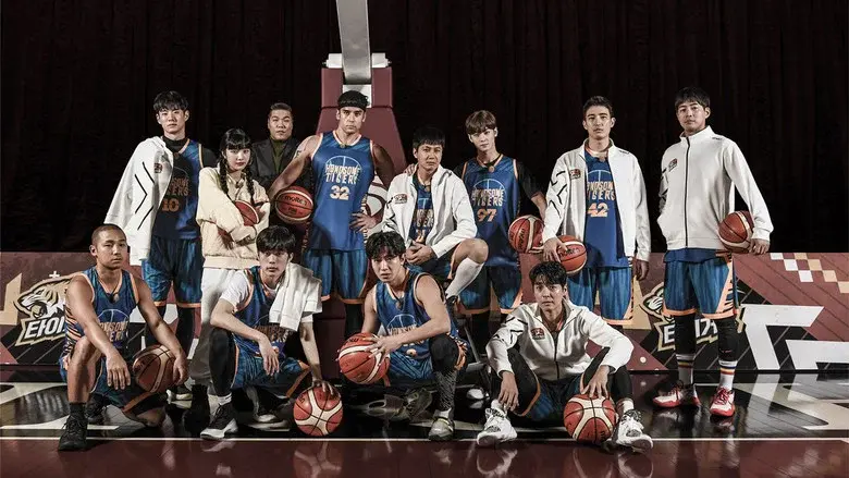 Handsome Tigers still 2