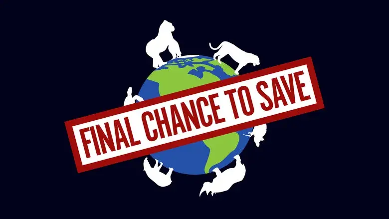 Final Chance to Save still 1