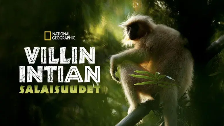 Secrets of Wild India still 8
