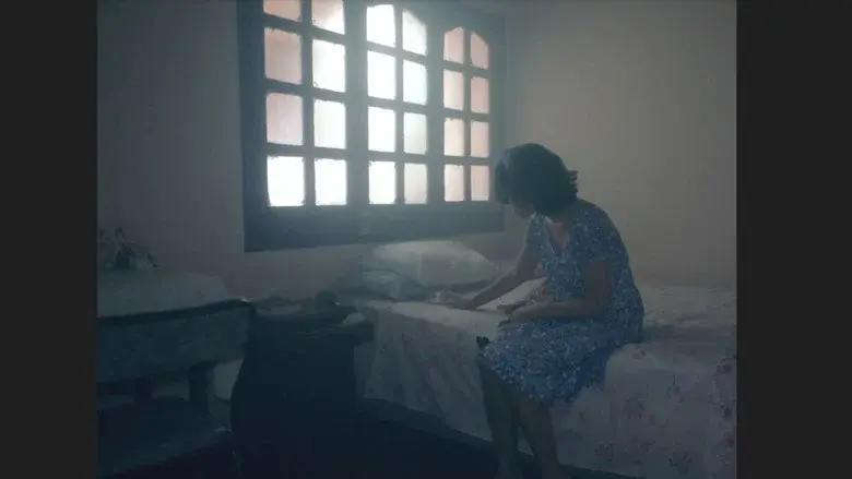 Óga still 1
