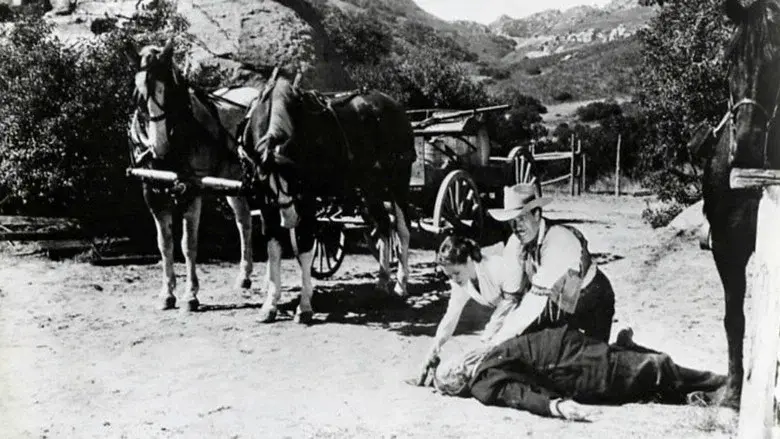 I Killed Wild Bill Hickok still 1