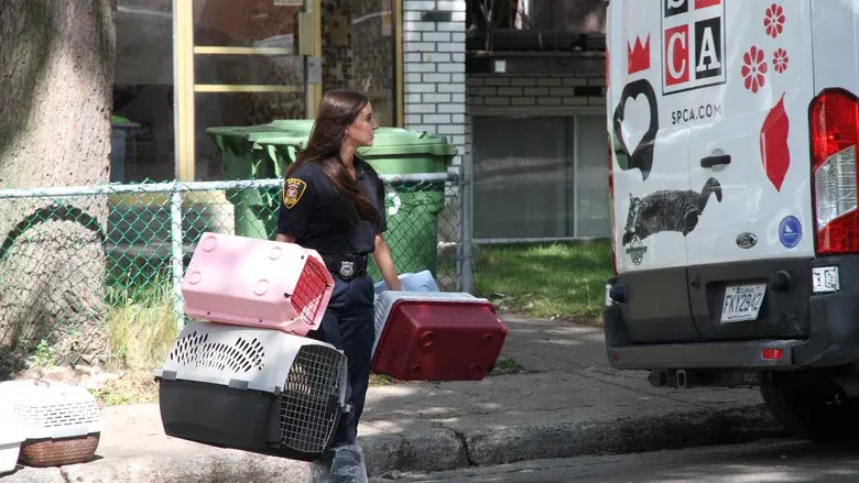 SPCA en action still 5