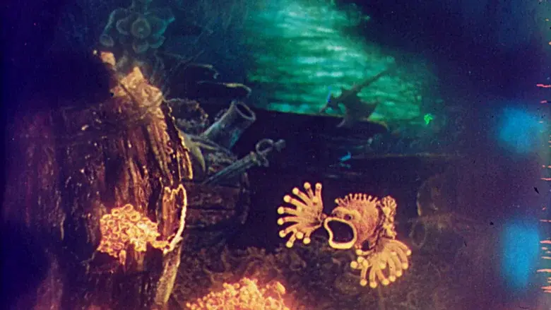 Cardinal Fish still 2