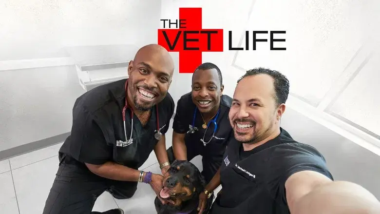 The Vet Life still 3