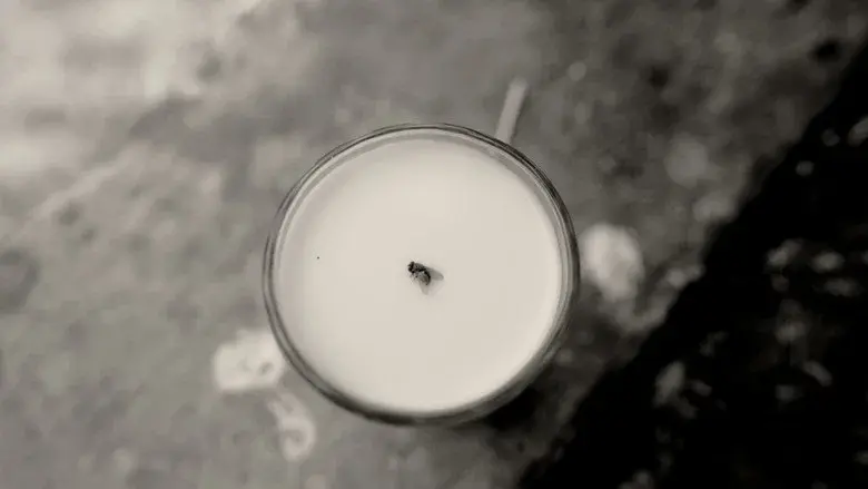 A Fly Floating In The Midst Of The Milk still 6