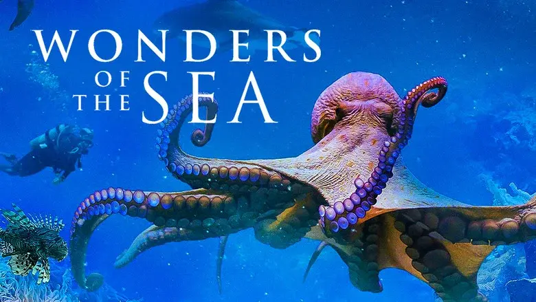 Wonders of the Sea still 4