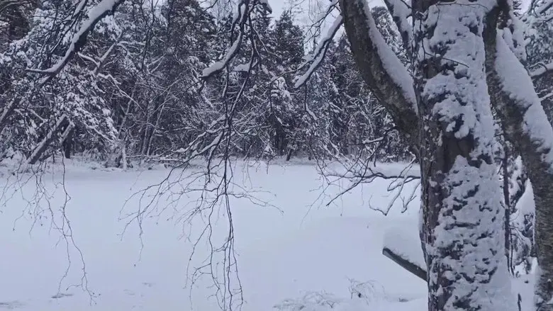 La Féerie Winter still 1