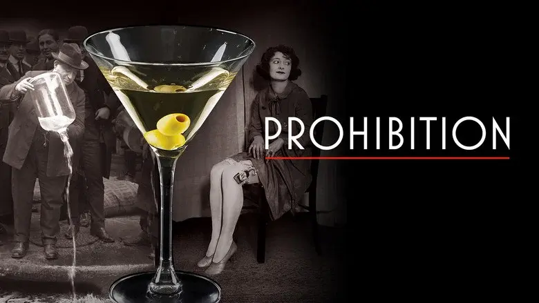 Prohibition still 3