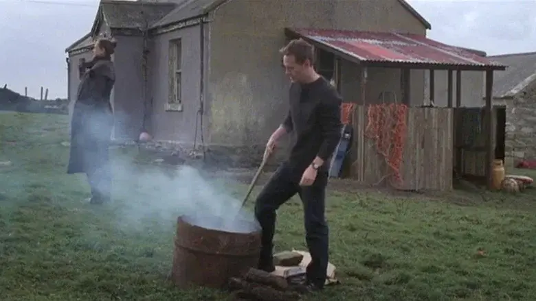 The Daisy Chain still 2