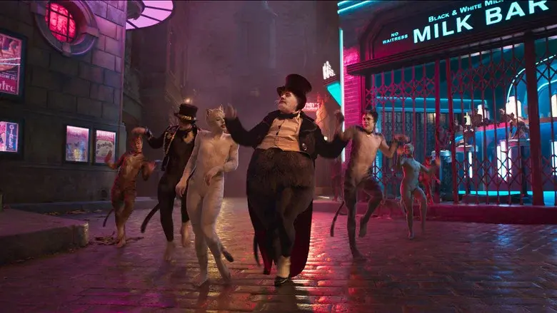 Cats still 2