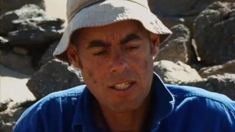 Stones and Flies: Richard Long in the Sahara still 2