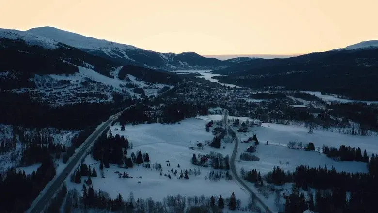 Svenska Truckers still 8
