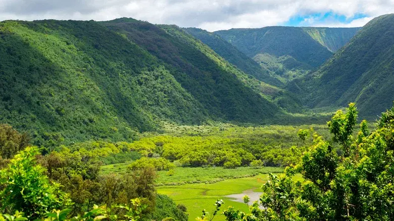 Wild Hawaii still 5