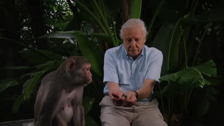 David Attenborough's Rise of Animals: Triumph of the Vertebrates still 2