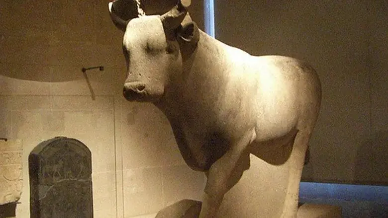 Egypt: The Treasure Of The Sacred Bulls still 1
