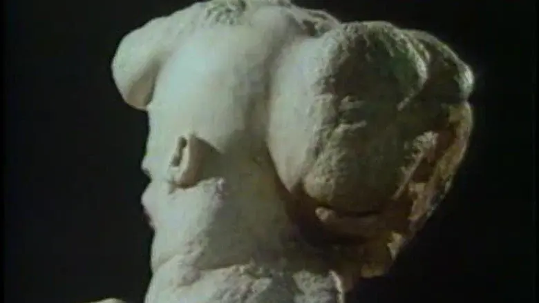 The Skin Horse still 1